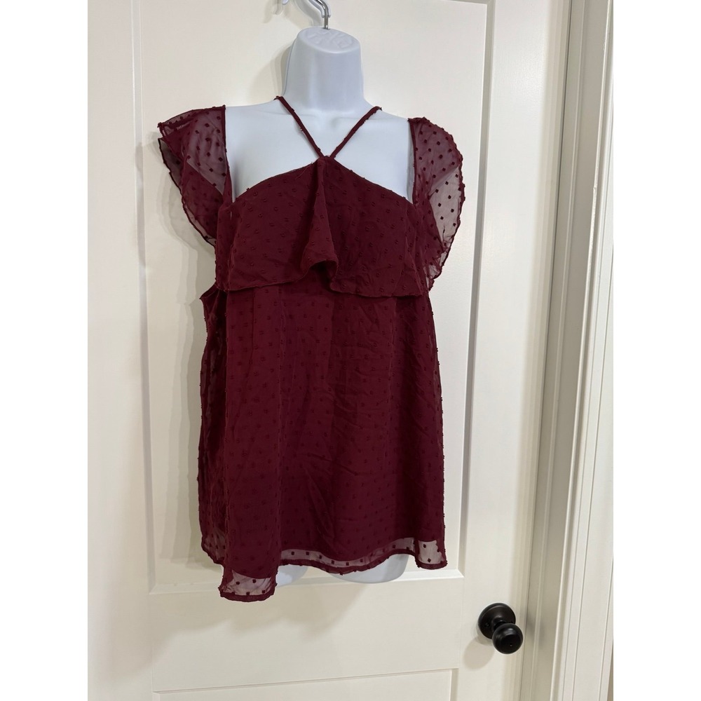 Francesca's sheer Swiss dot burgundy tie back top